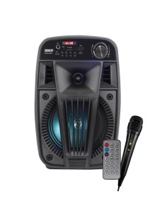 CASSA AUDIO DIFFUSORE AMPLIFICATO V SINGER 100 WATT