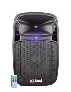 CASSA AUDIO DIFFUSORE AMPLIFICATO TIGER 10A 170 WATT