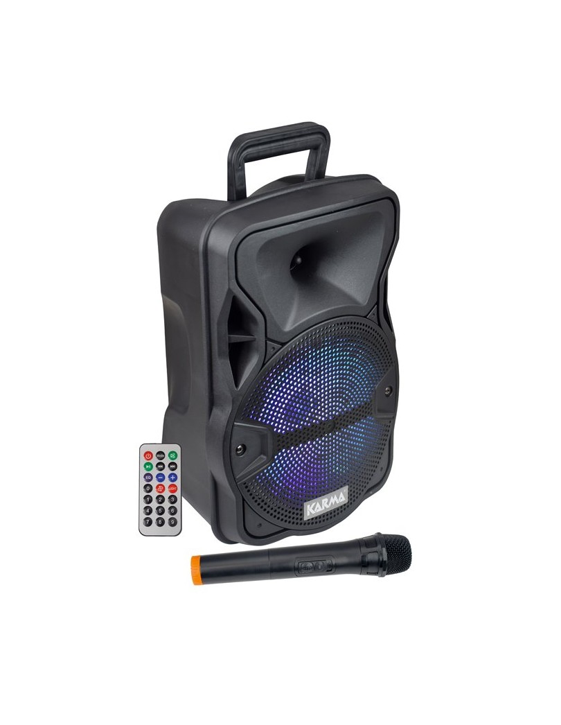 CASSA AUDIO AMPLIFICATO PSB 8 300 WATT CON RADIOMICROFONO