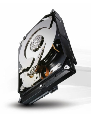 HARD DISK 4 TB SATA 3 3.5" (ST4000NC000) RICONDIZIONATO