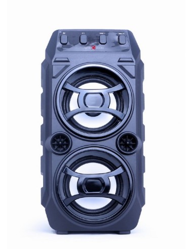 CASSA AUDIO BLUETOOTH SPK-BT-13 CON FUNZIONE KARAOKE