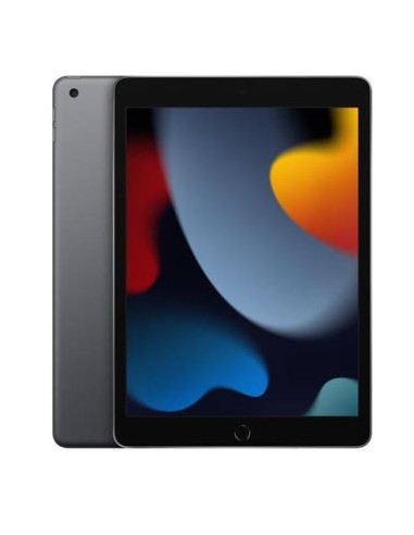 TABLET IPAD 2021 10.2" 64GB WIFI GRIGIO (MK2K3TY/A)