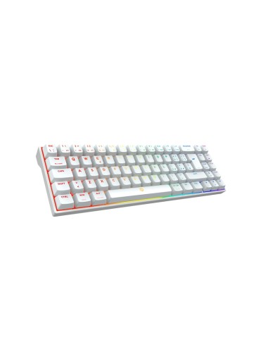 TASTIERA GAMING CALIBUR V2 TE RGB MECCANICA (CAV2T-2ITT3) BIANCA