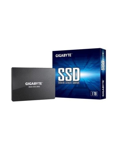 HARD DISK SSD 1TB SATA 3 2.5" (GP-GSTFS31100TNTD)