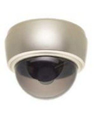 TELECAMERA SORVEGLIANZA IP DOME TYPE FIC-DM310