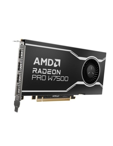 SCHEDA VIDEO RADEON PRO W7500 8 GB DDR6 (100-300000078)